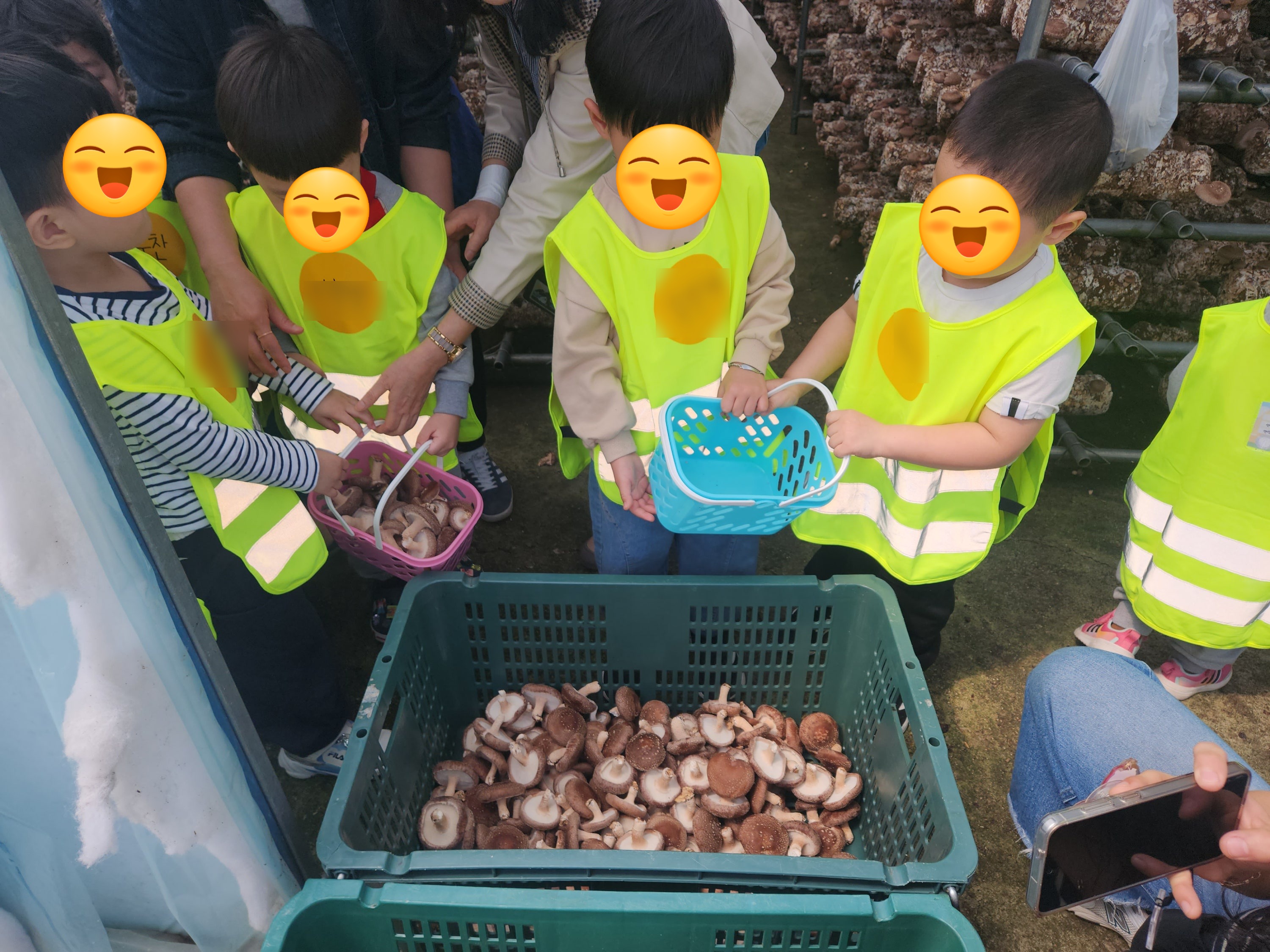 25.4.24일 어린이농촌체험 표고버섯따기