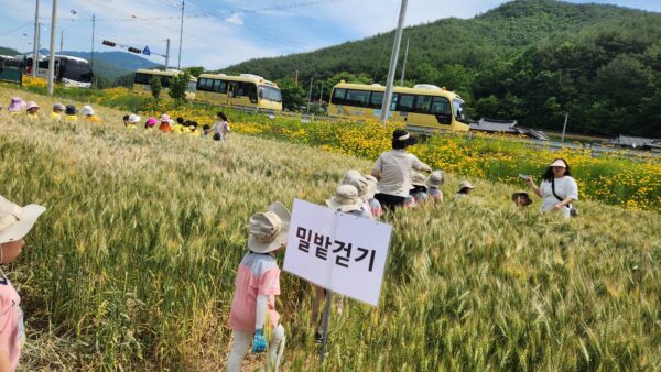 KakaoTalk_20250613_140255651_09.jpg