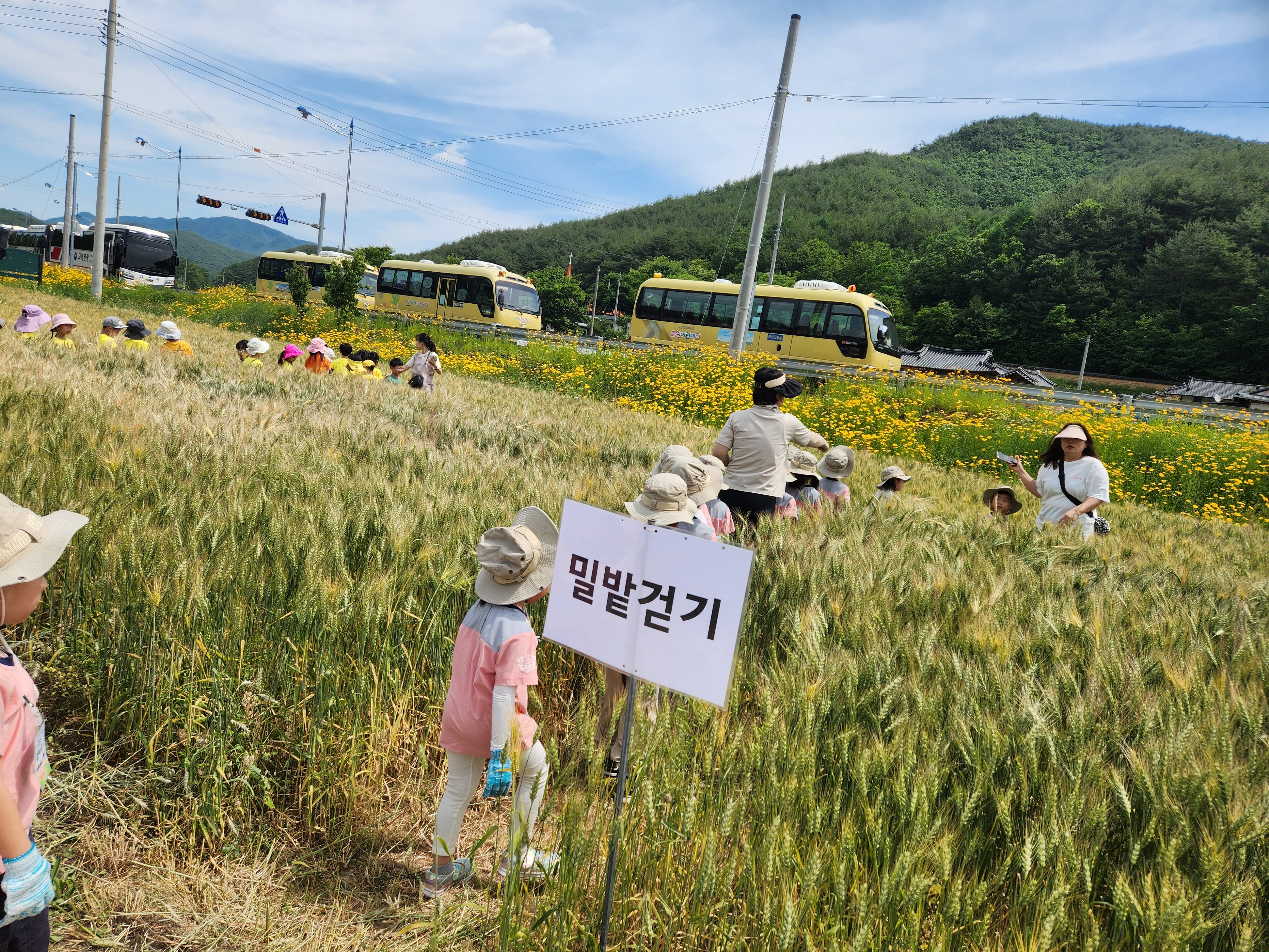 KakaoTalk_20250613_140255651_09.jpg