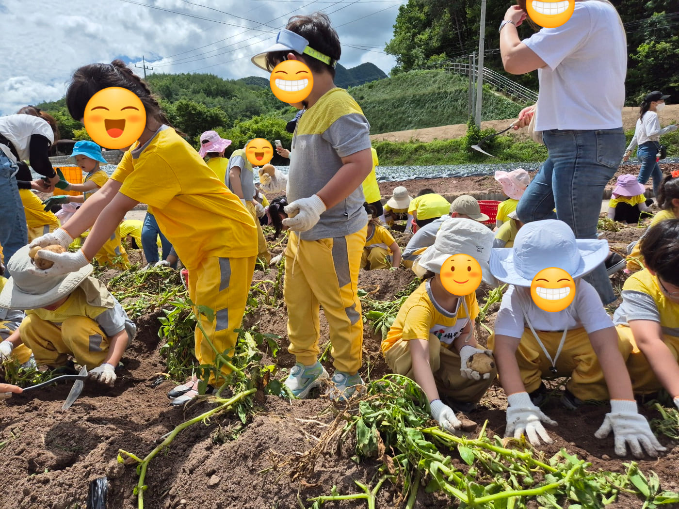 7.2감자캐기압축.jpg
