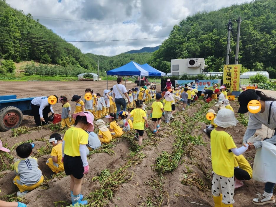 어린이농촌체험 감자캐기