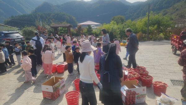 어린이 농촌체험 사과따기